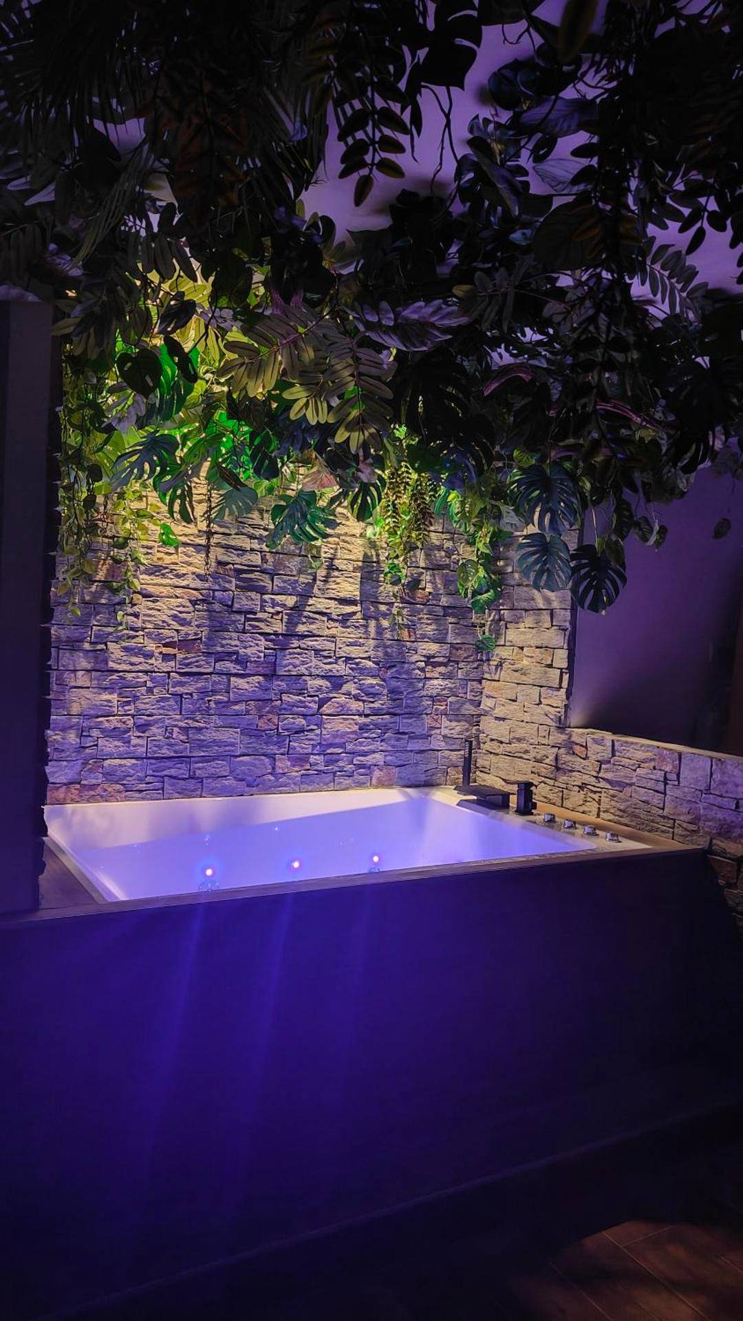 Photo du logement - Jungle Room Jacuzzi Privé Évasion en amoureux