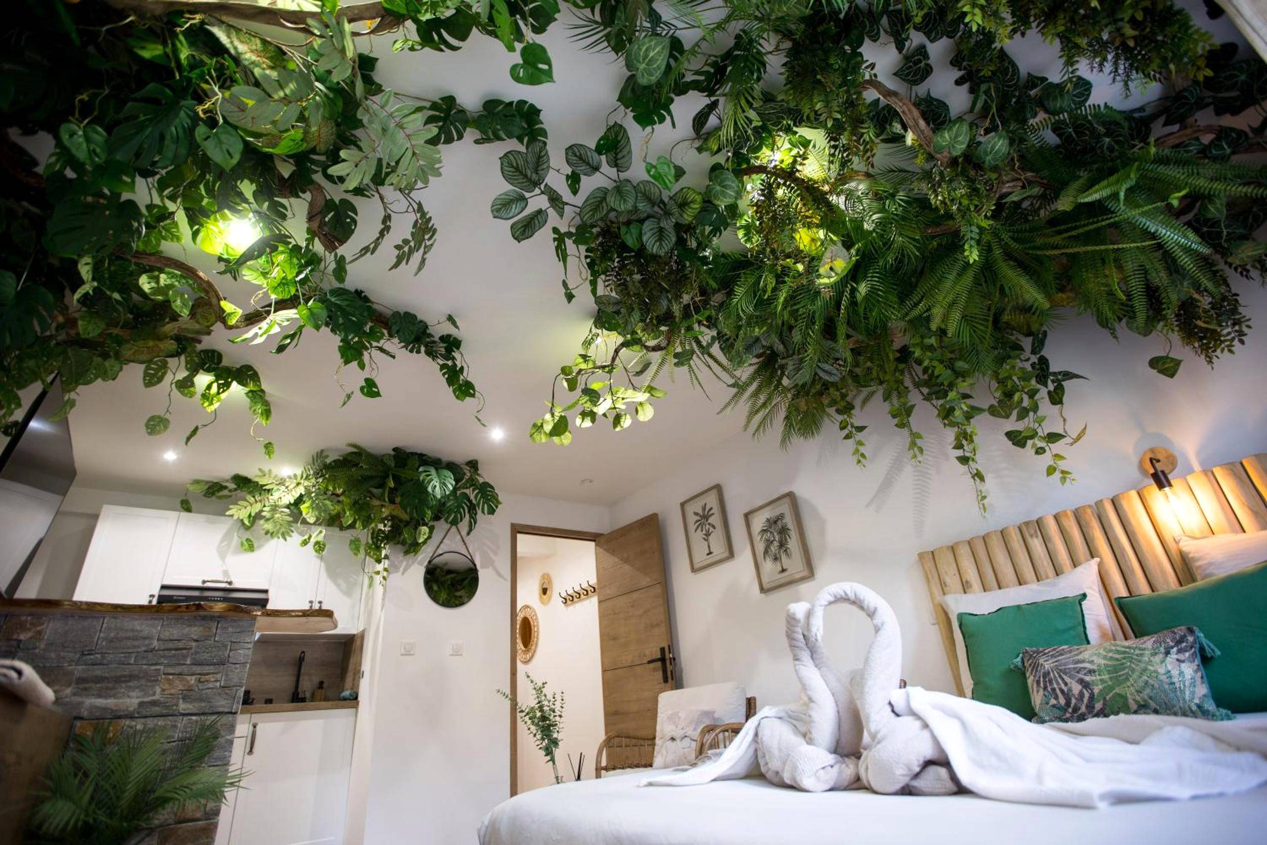 Photo du logement - Jungle Room Jacuzzi Privé Évasion en amoureux