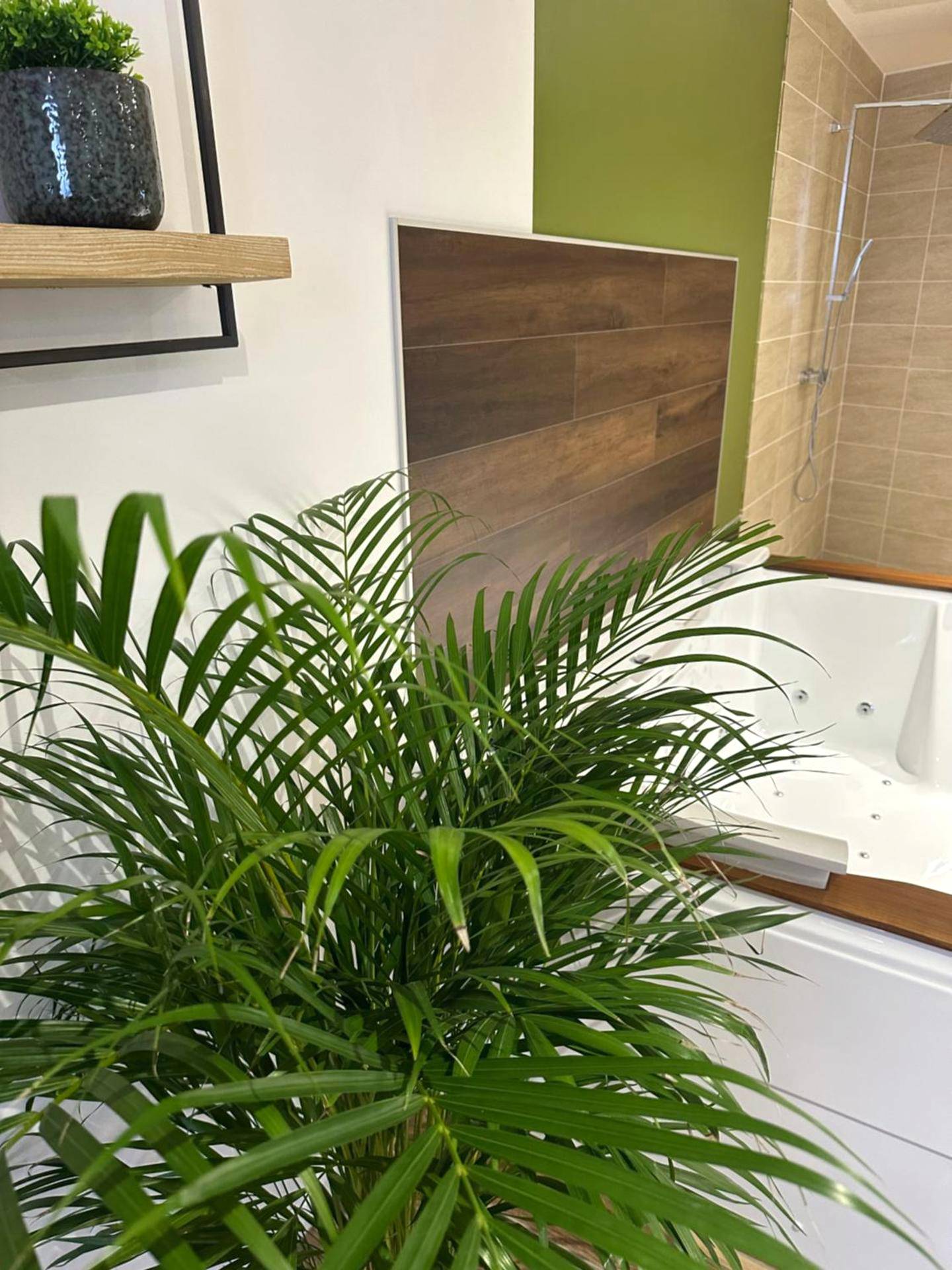 Photo du logement - Jungle room - Sotteville - lès - Rouen