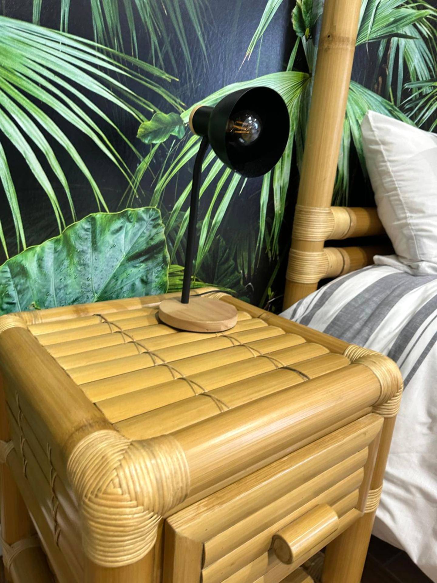 Photo du logement - Jungle room