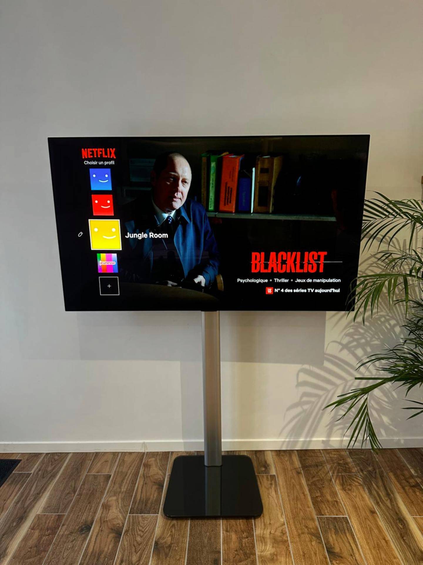 Téléviseur écran plat sur pied avec Netflix - Jungle room