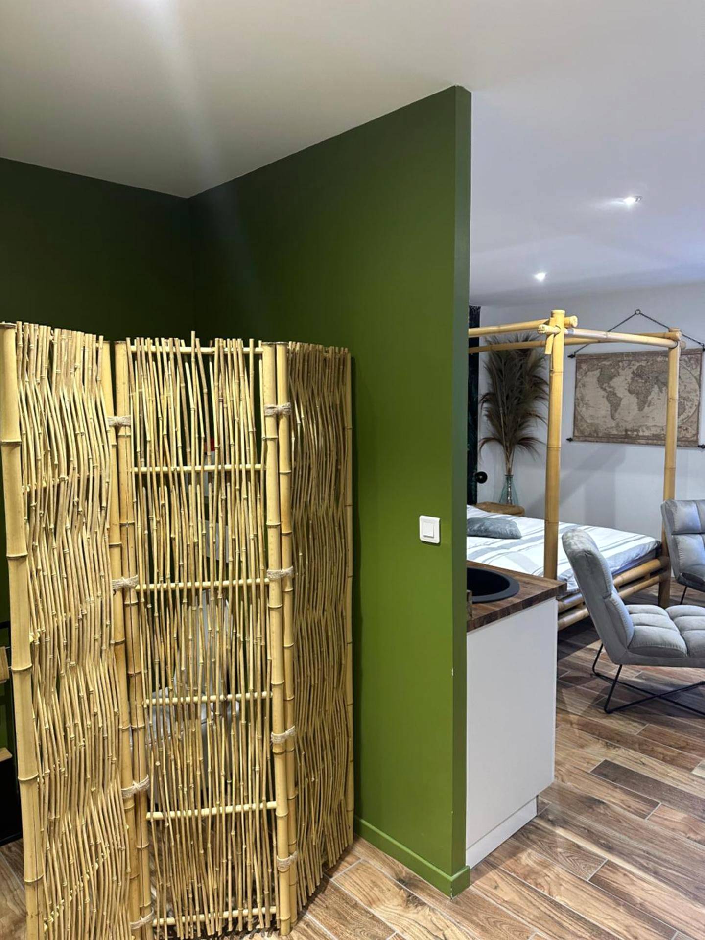 Photo du logement - Jungle room