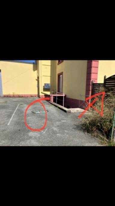 Photo du logement - Jungle Secret SPA Nuit insolite