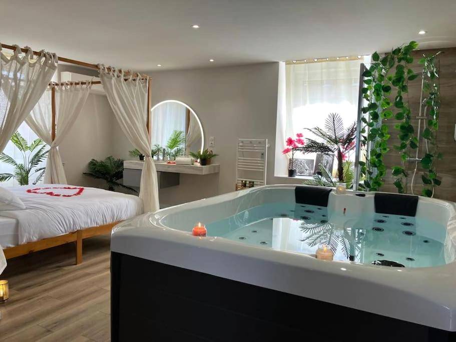 Espace bien - être avec jacuzzi et douche végétale - Jungle Secret SPA Nuit insolite