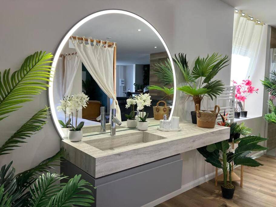 Photo du logement - Jungle Secret SPA Nuit insolite