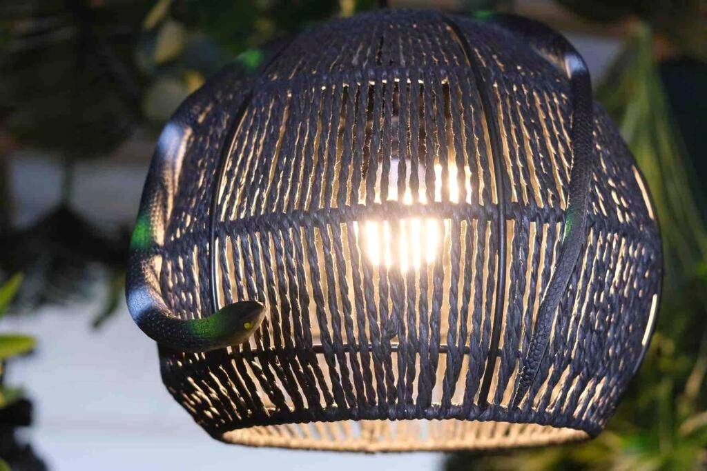 Photo du logement - The Jungle Senso