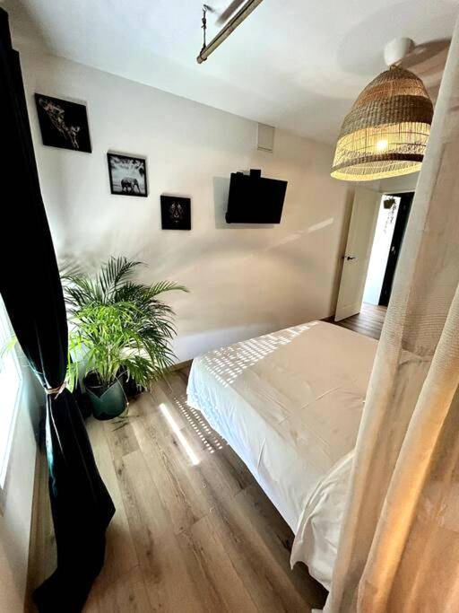 Photo du logement - The Jungle Senso