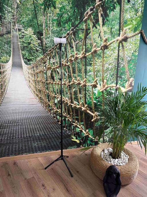 Photo du logement - The Jungle Senso - Perpignan