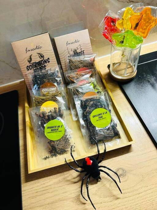 Photo du logement - The Jungle Senso