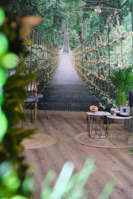 Photo du logement - The Jungle Senso