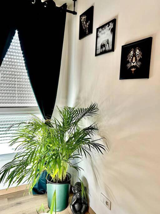 Photo du logement - The Jungle Senso