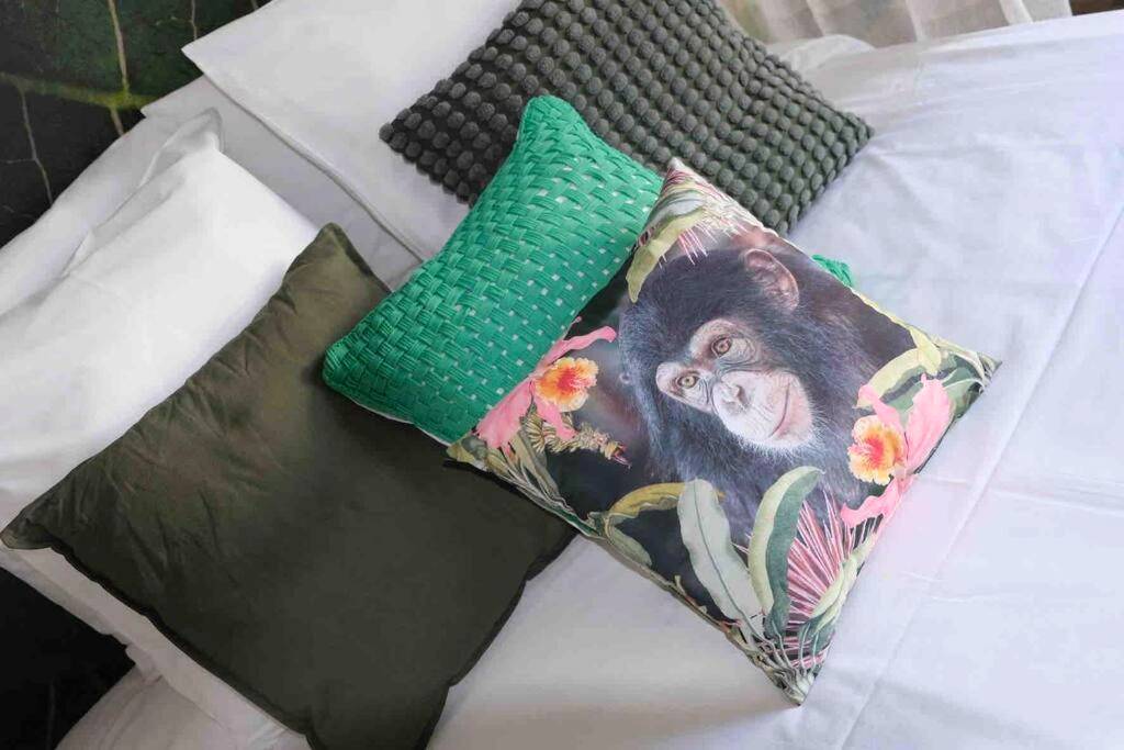 Vue du logement - The Jungle Senso