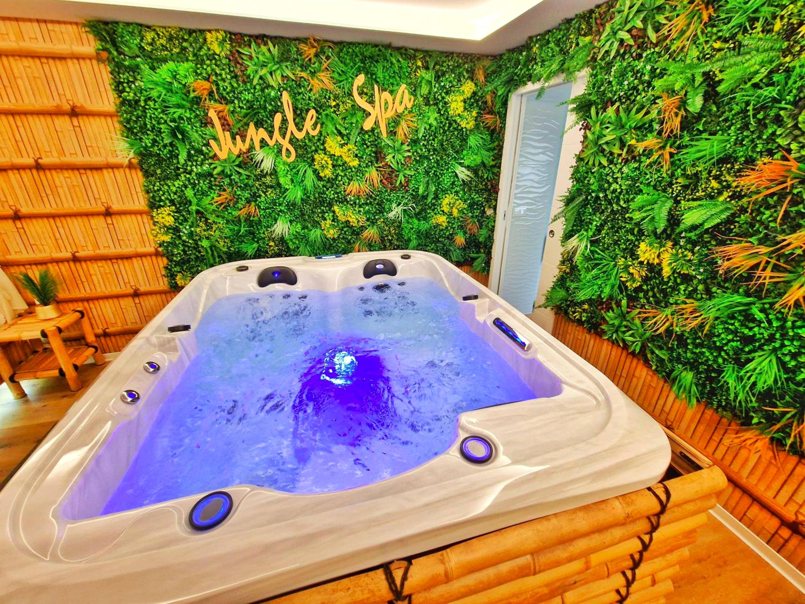 Photo du logement - JUNGLE SPA - 4 Pers - Jacuzzi - Parking - Jardin - Clim - Colmar