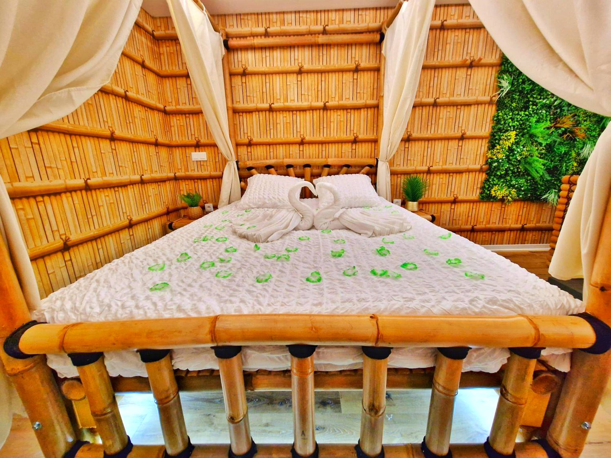 Photo du logement - JUNGLE SPA - 4 Pers - Jacuzzi - Parking - Jardin - Clim - Colmar - Muntzenheim