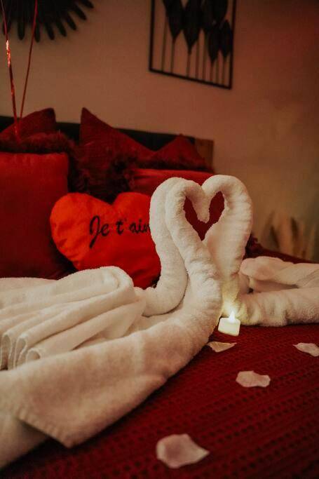 Cygnes en serviettes et pétales sur lit rouge - Jungle Spa