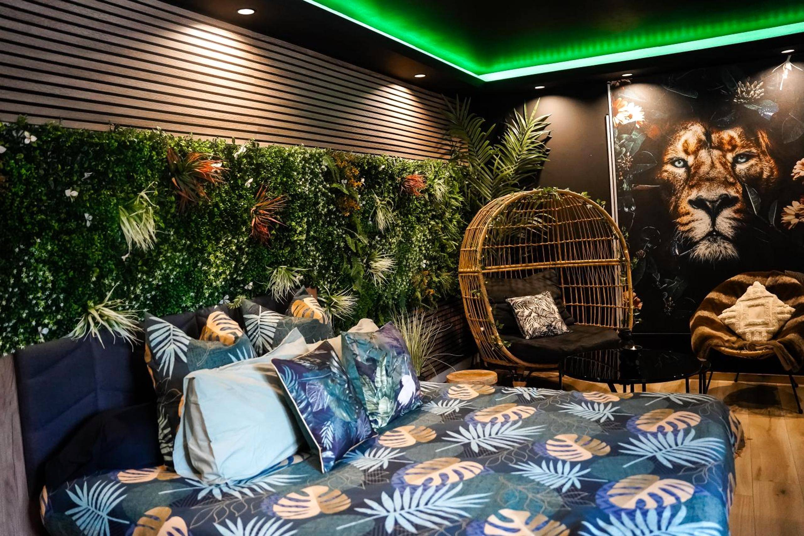 Photo du logement - Jungle Spa