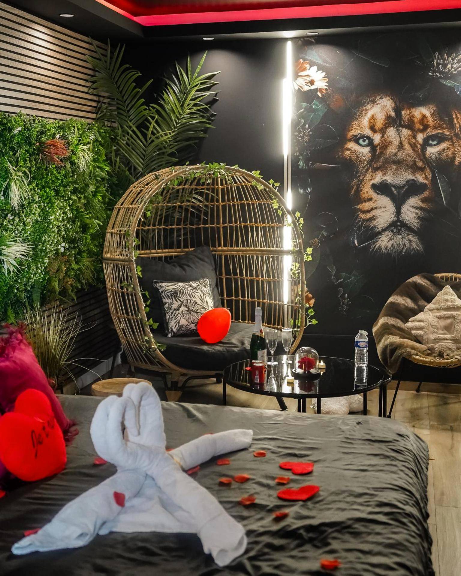 Photo du logement - Jungle Spa - Cachan