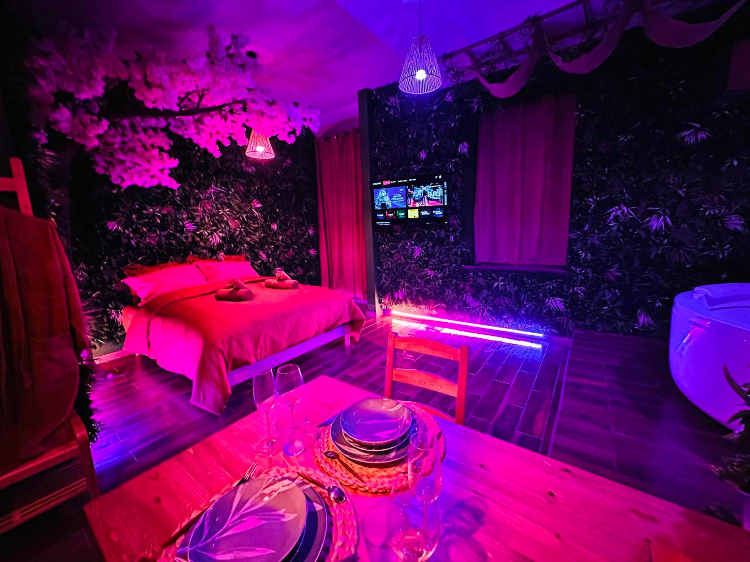 Photo du logement - JUNGLE SUITE - Jacuzzi - Centre - Clim by Narbana - Narbonne