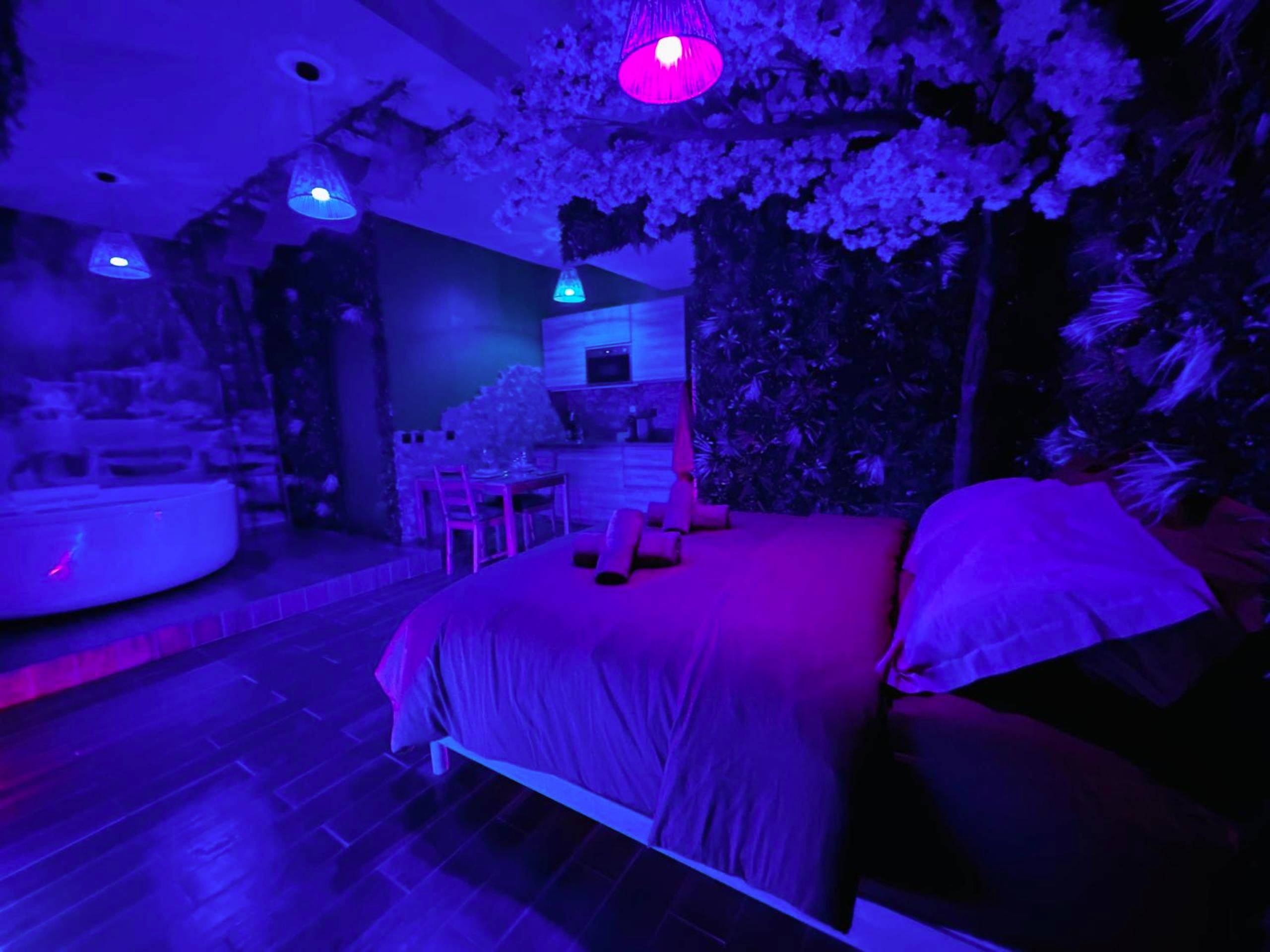 Photo du logement - JUNGLE SUITE - Jacuzzi - Centre - Clim by Narbana