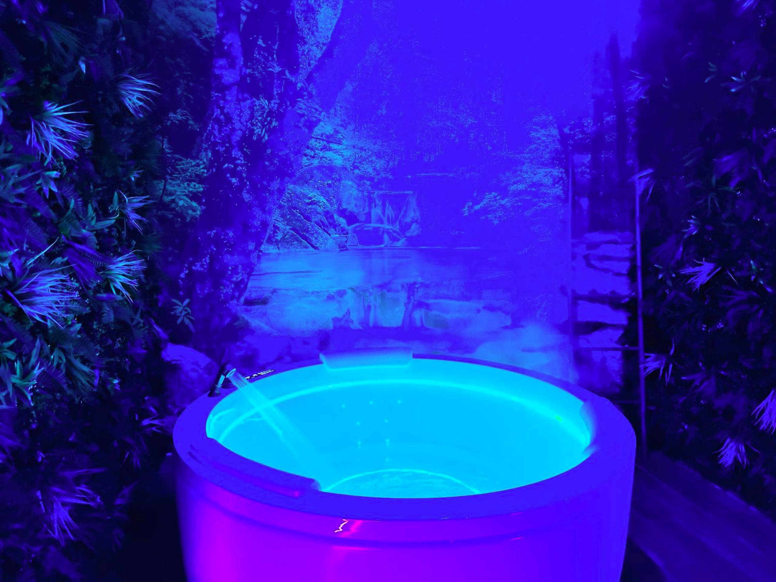 Photo du logement - JUNGLE SUITE - Jacuzzi - Centre - Clim by Narbana