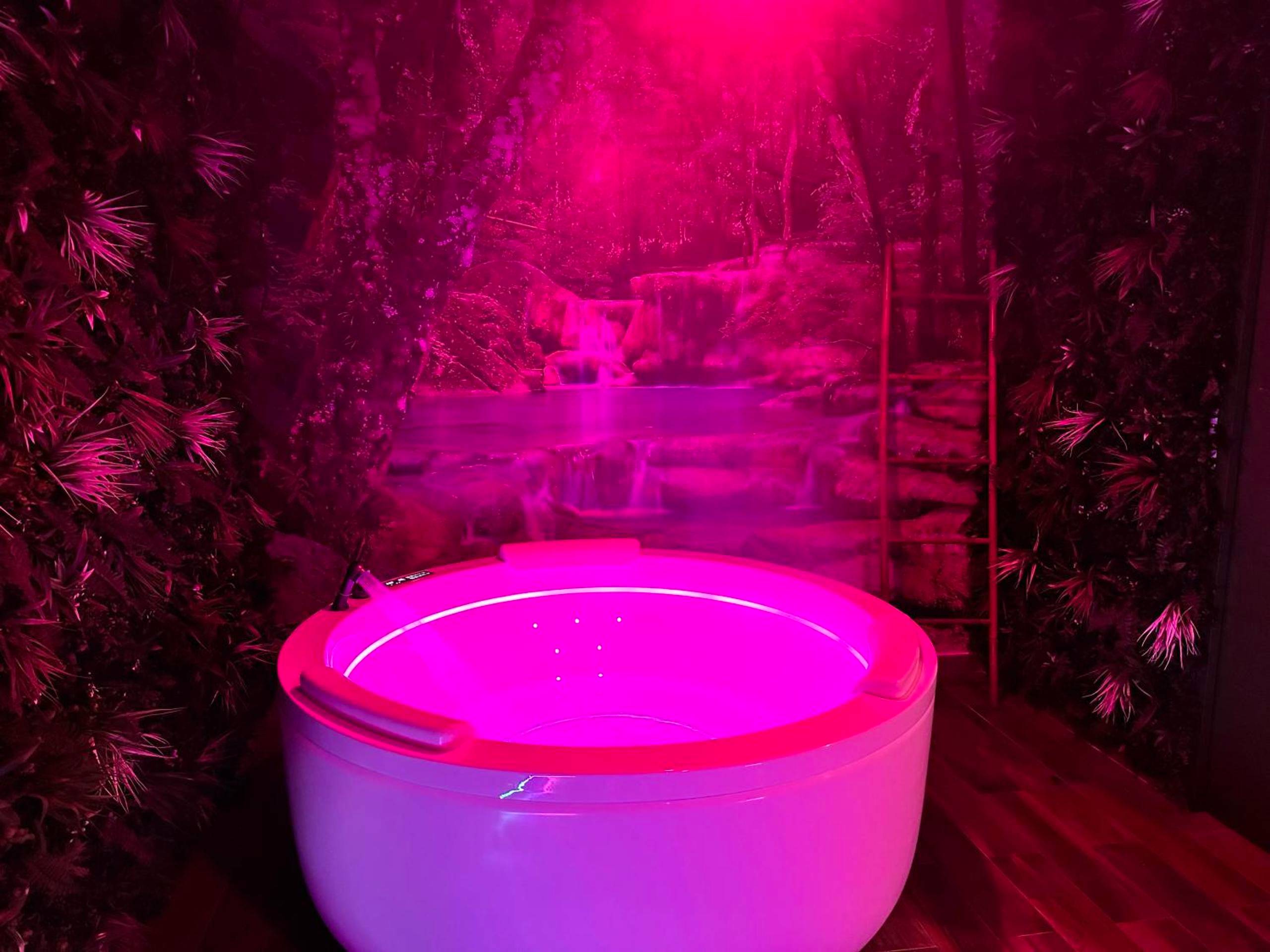 Photo du logement - JUNGLE SUITE - Jacuzzi - Centre - Clim by Narbana