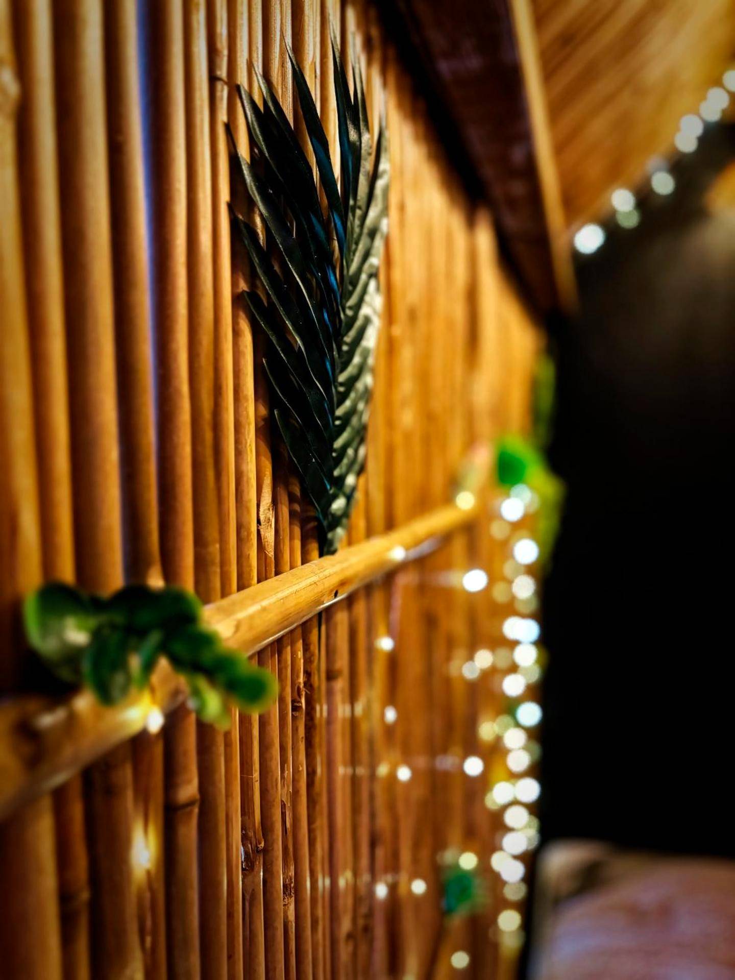 Photo du logement - La Jungle de Zoé - Nuit insolite à 15min de Caen