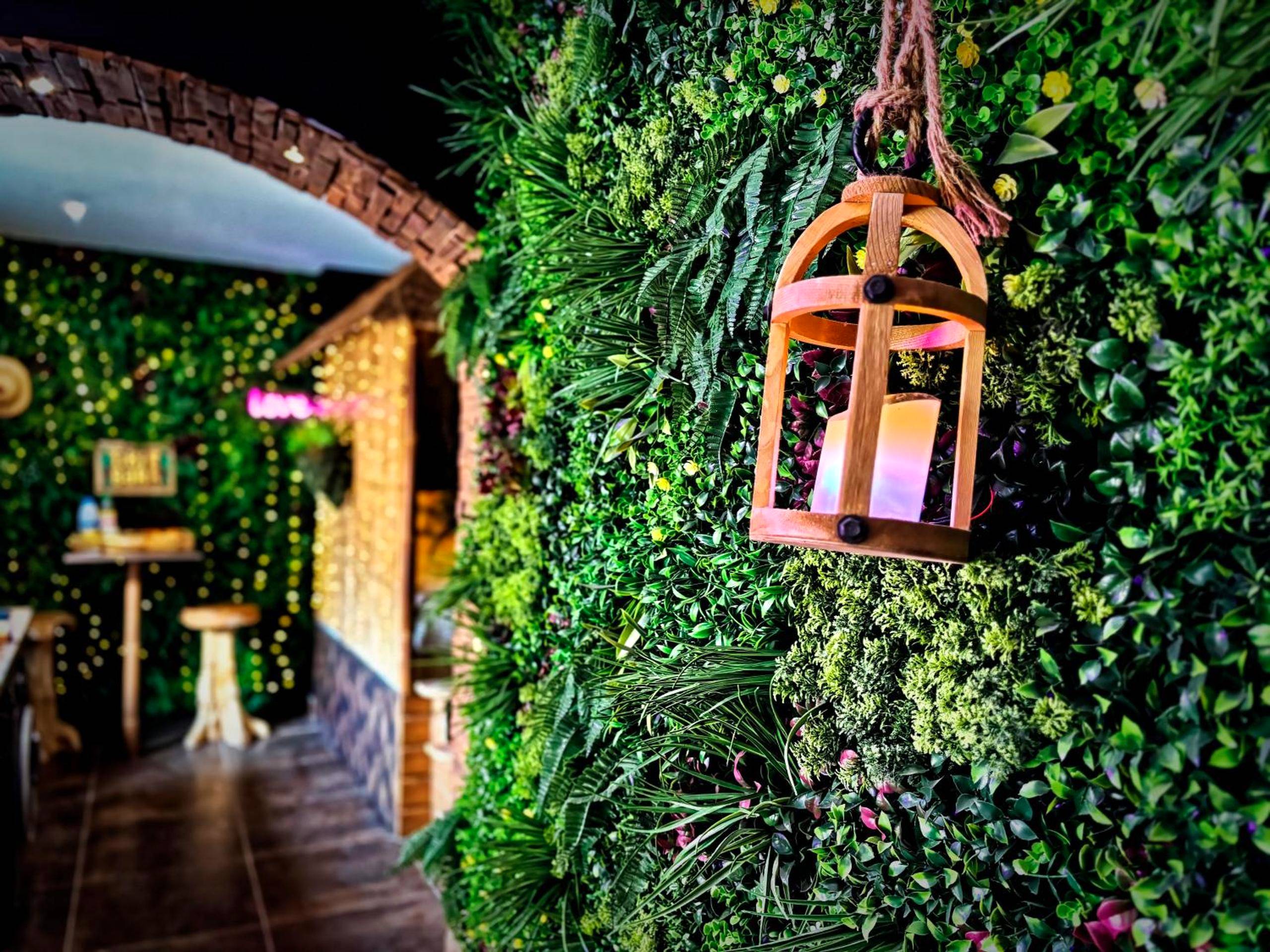 Photo du logement - La Jungle de Zoé - Nuit insolite à 15min de Caen - Pierrevert