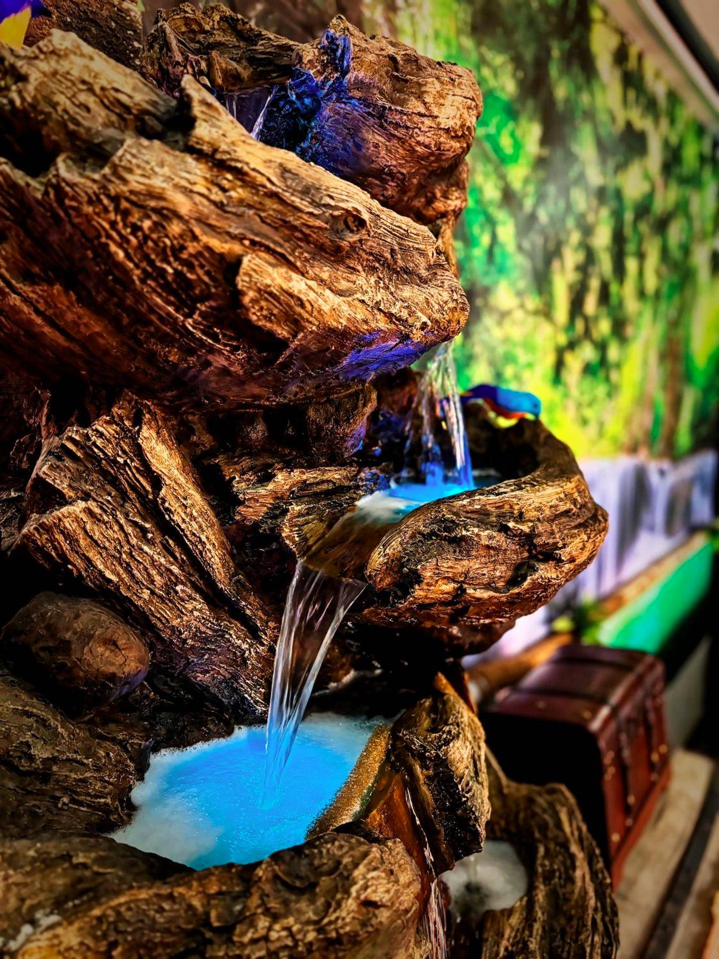 Photo du logement - La Jungle de Zoé - Nuit insolite à 15min de Caen