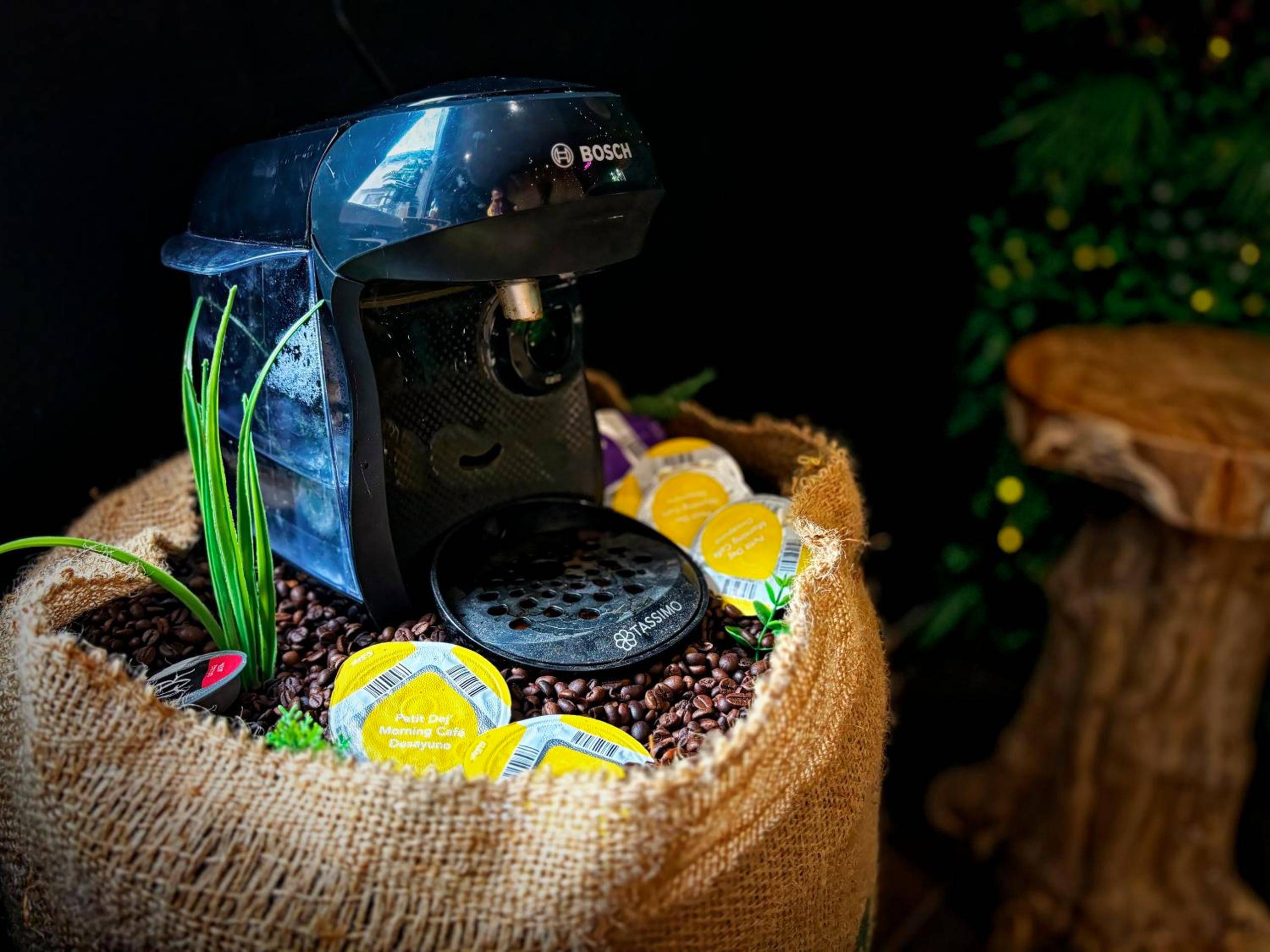 Photo du logement - La Jungle de Zoé - Nuit insolite à 15min de Caen