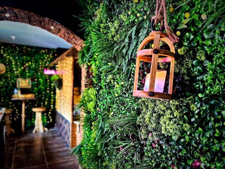 Photo du logement - La Jungle de Zoé - Nuit insolite à 15min de Caen