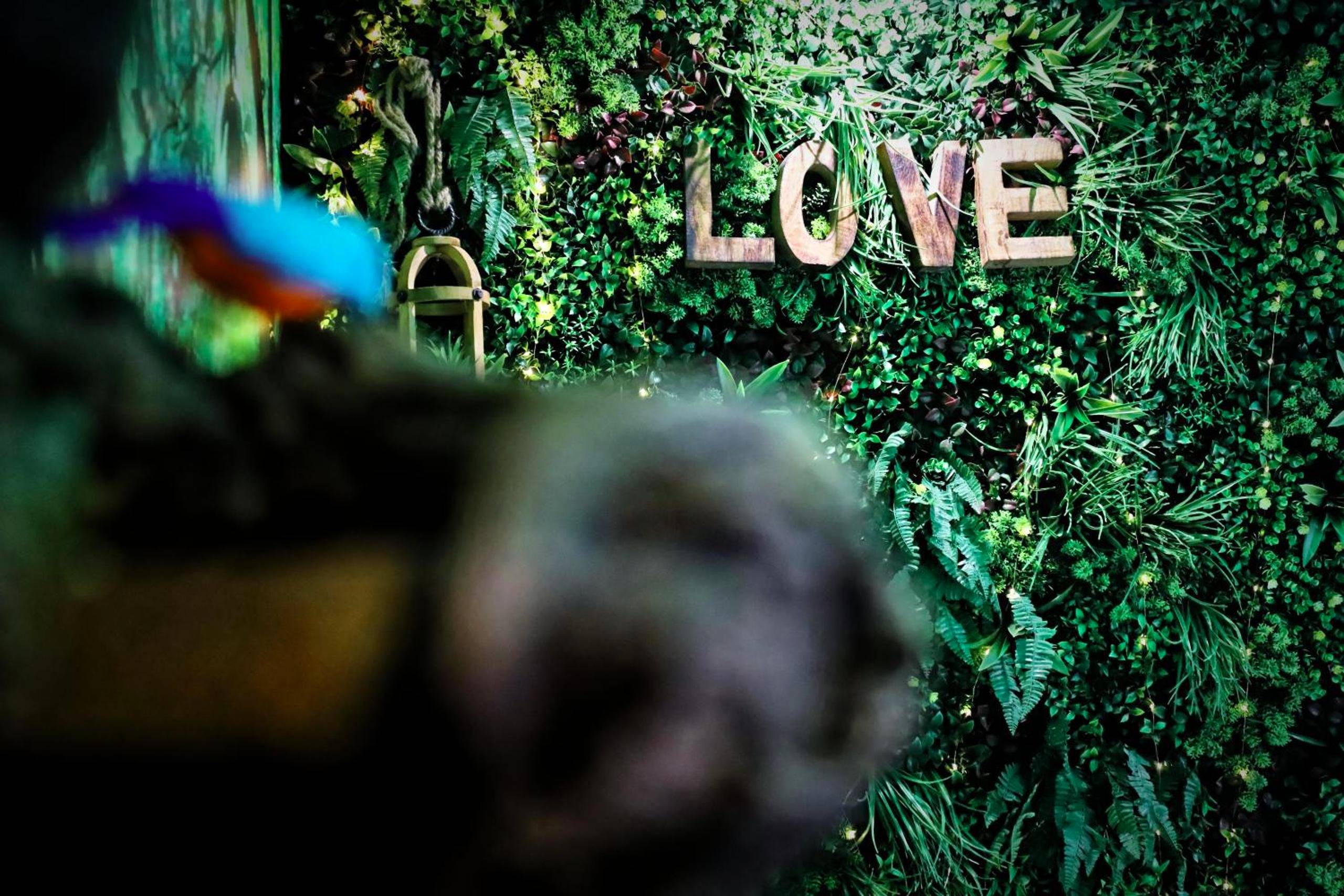 Photo du logement - La Jungle de Zoé - Nuit insolite à 15min de Caen