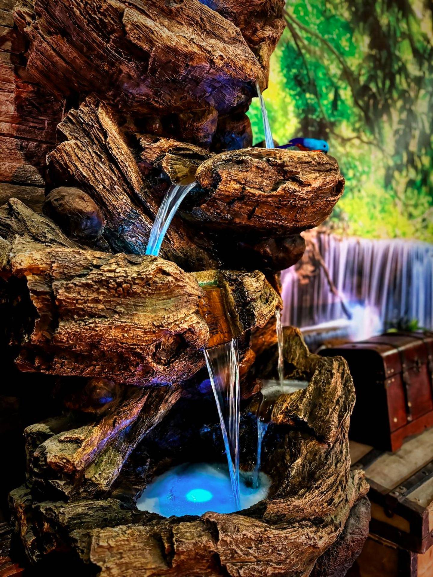 Photo du logement - La Jungle de Zoé - Nuit insolite à 15min de Caen - Pierrevert