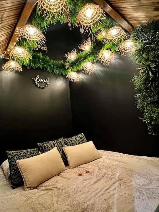 Photo du logement - La Jungle de Zoé - Nuit insolite à 15min de Caen