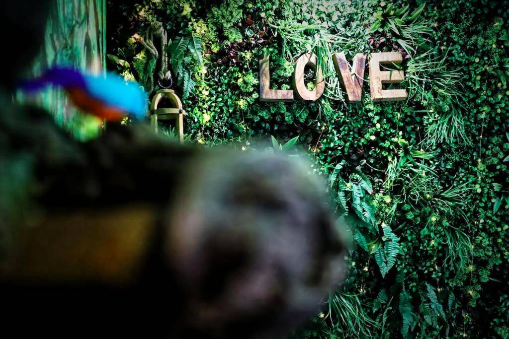 Photo du logement - La Jungle de Zoé - Nuit insolite à 15min de Caen - Pierrevert