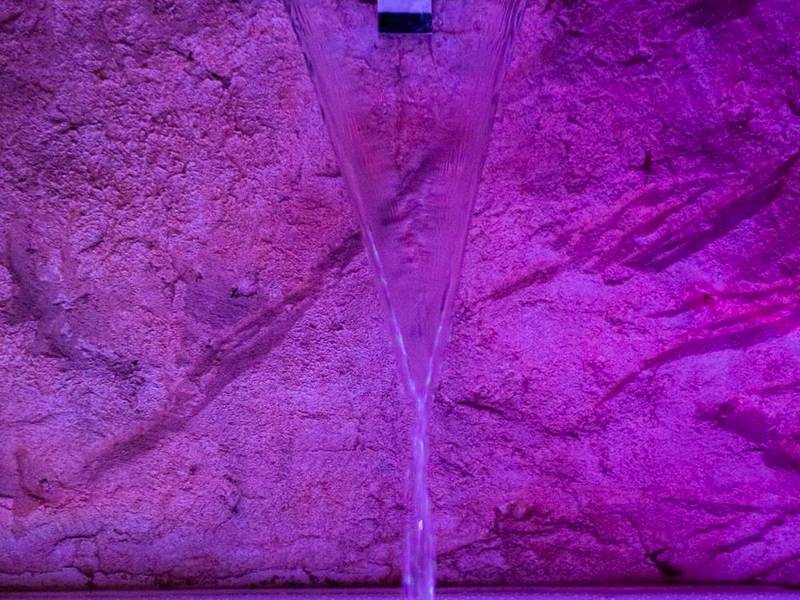 Photo du logement - Jungle Crash Love Room