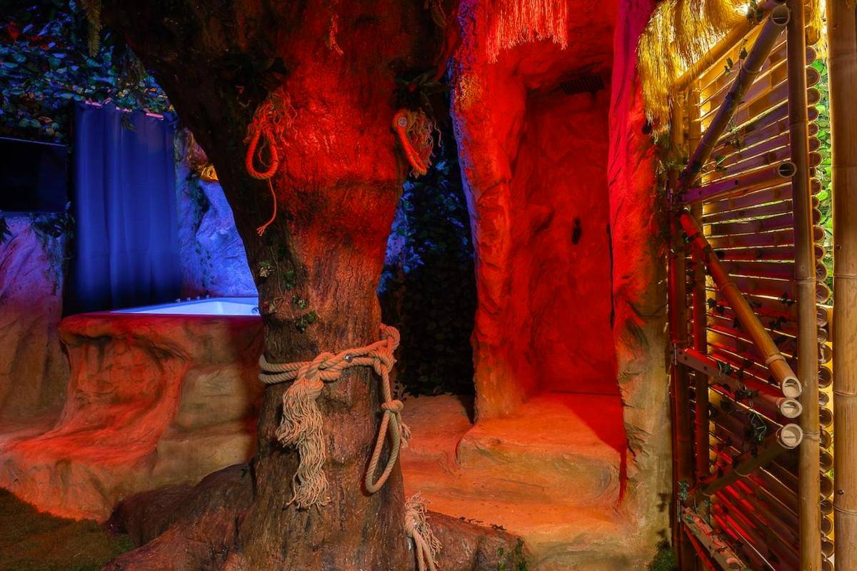 Vue du logement - Jungle Crash Love Room