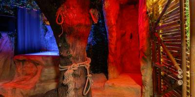 Vue du logement - Jungle Crash Love Room