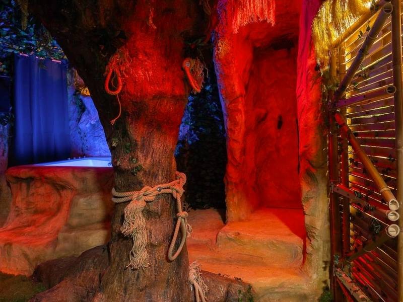 Vue du logement - Jungle Crash Love Room