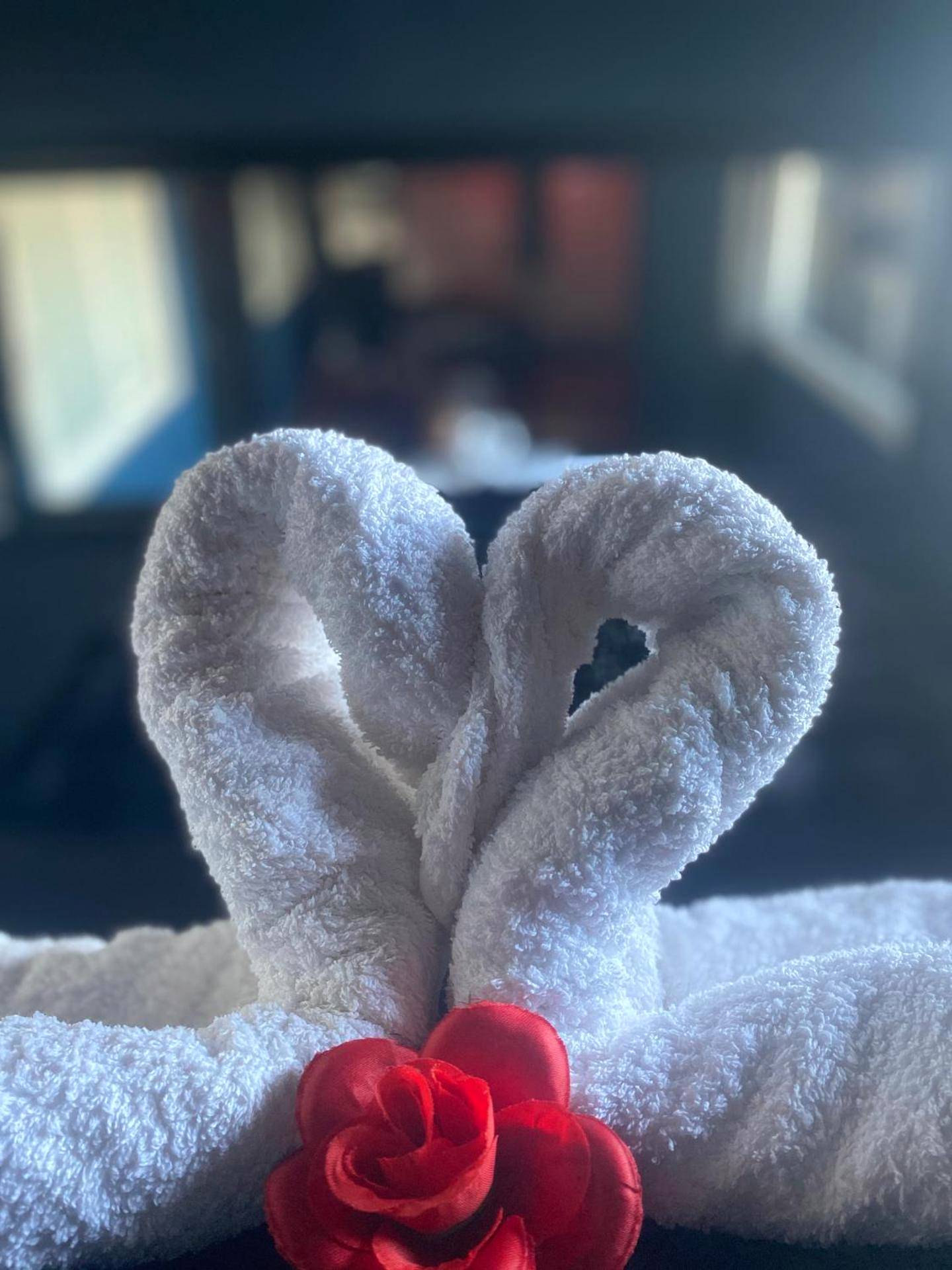 Photo du logement - La Love - Love room Marseille