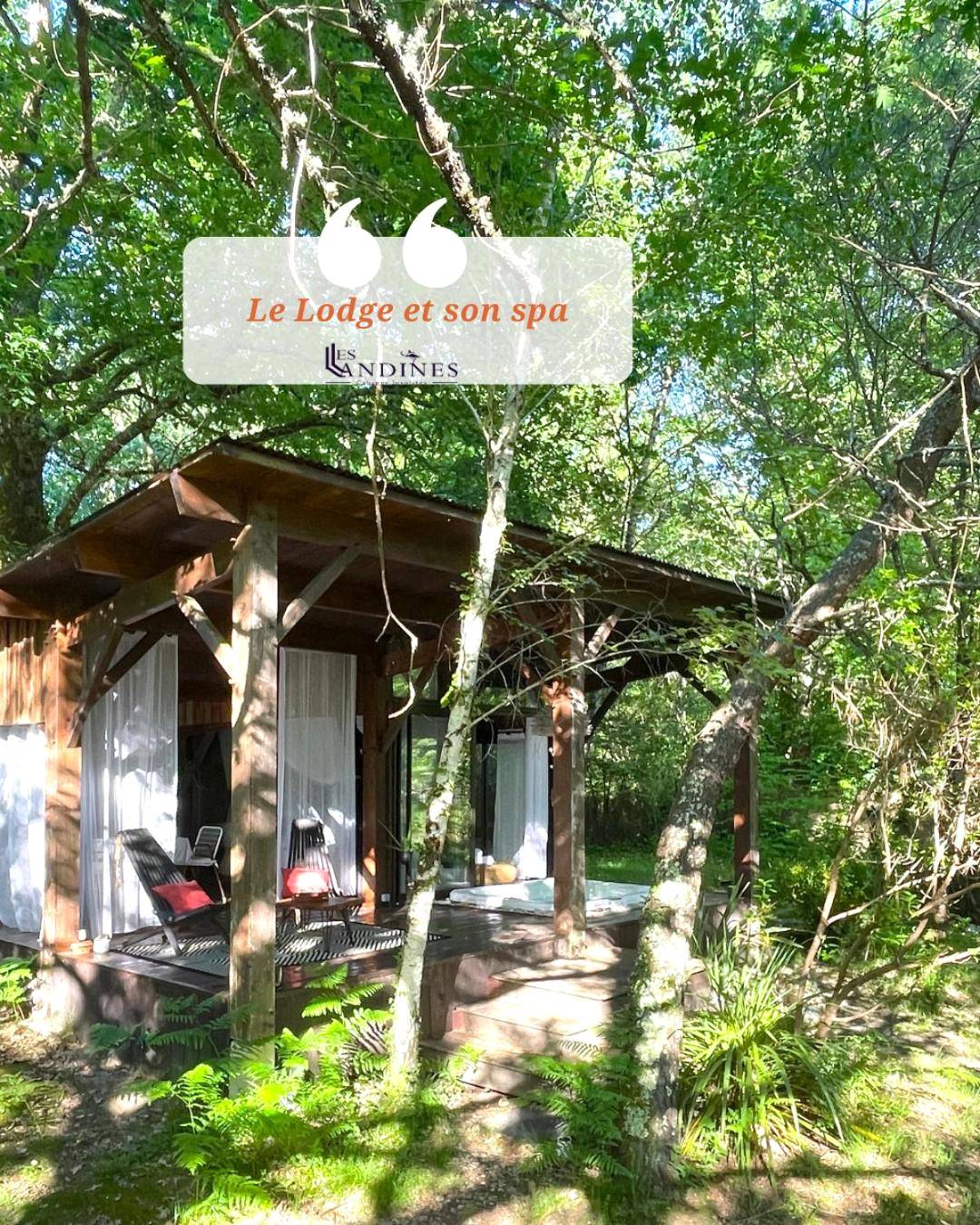 Photo du logement - Les Landines