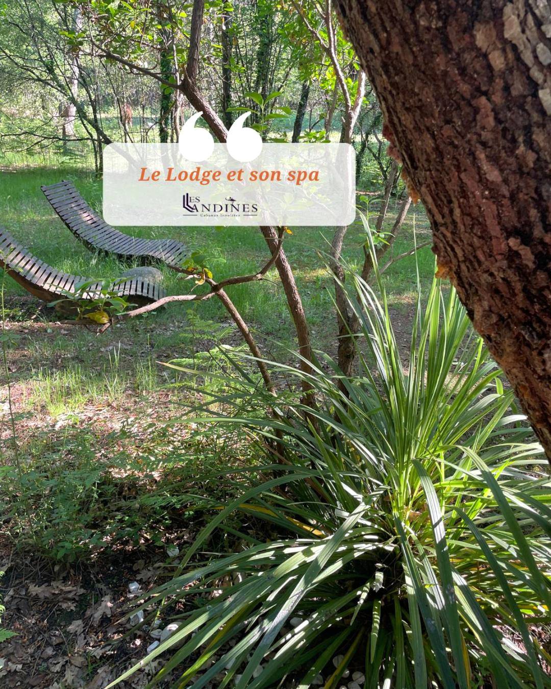 Photo du logement - Les Landines