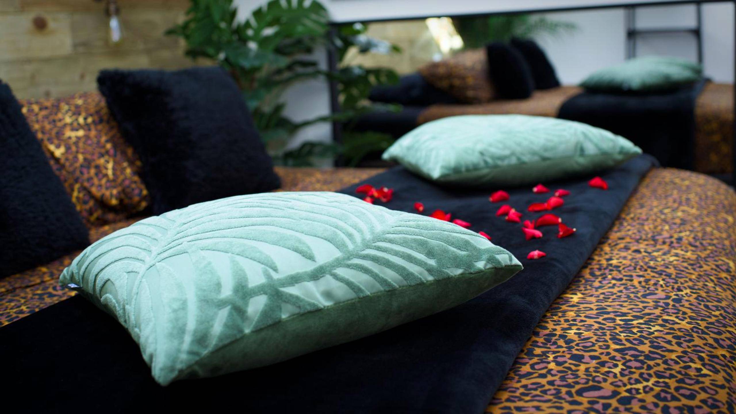 Photo du logement - Lasuite55