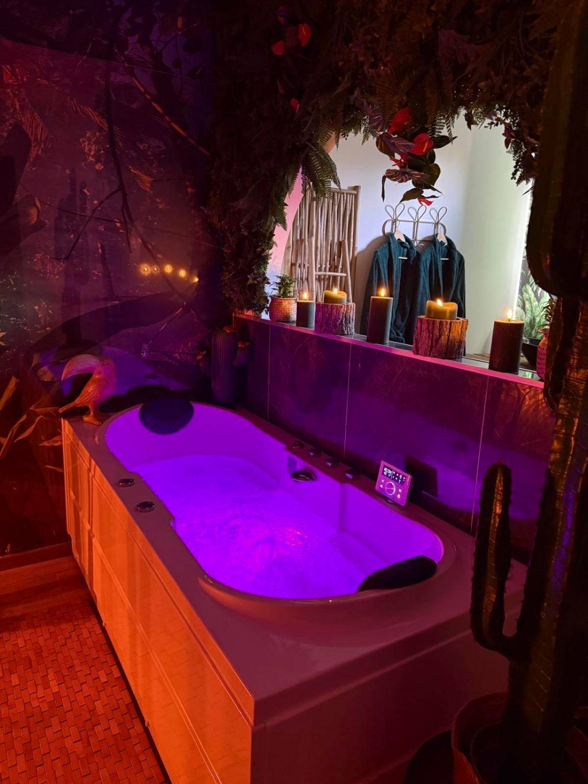 Photo du logement - Lodge de la Jungle avec Spa