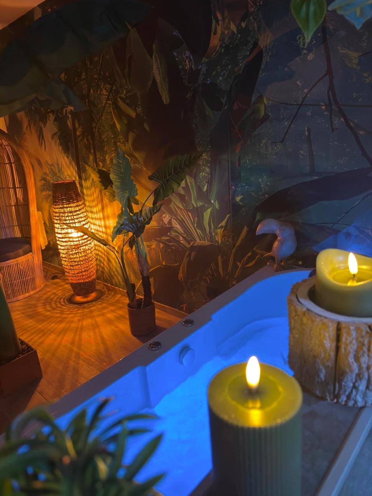 Photo du logement - Lodge de la Jungle avec Spa
