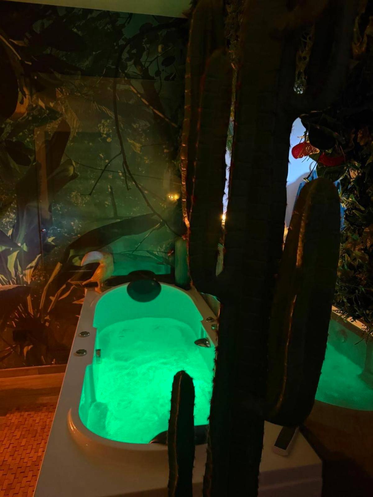 Photo du logement - Lodge de la Jungle avec Spa