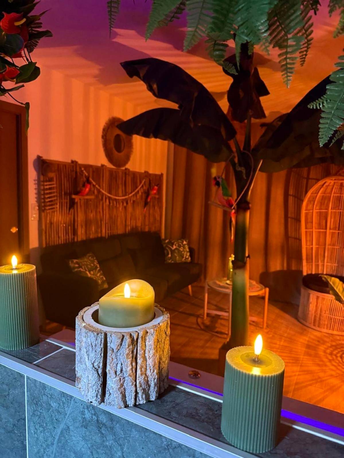 Detail du logement - Lodge de la Jungle avec Spa