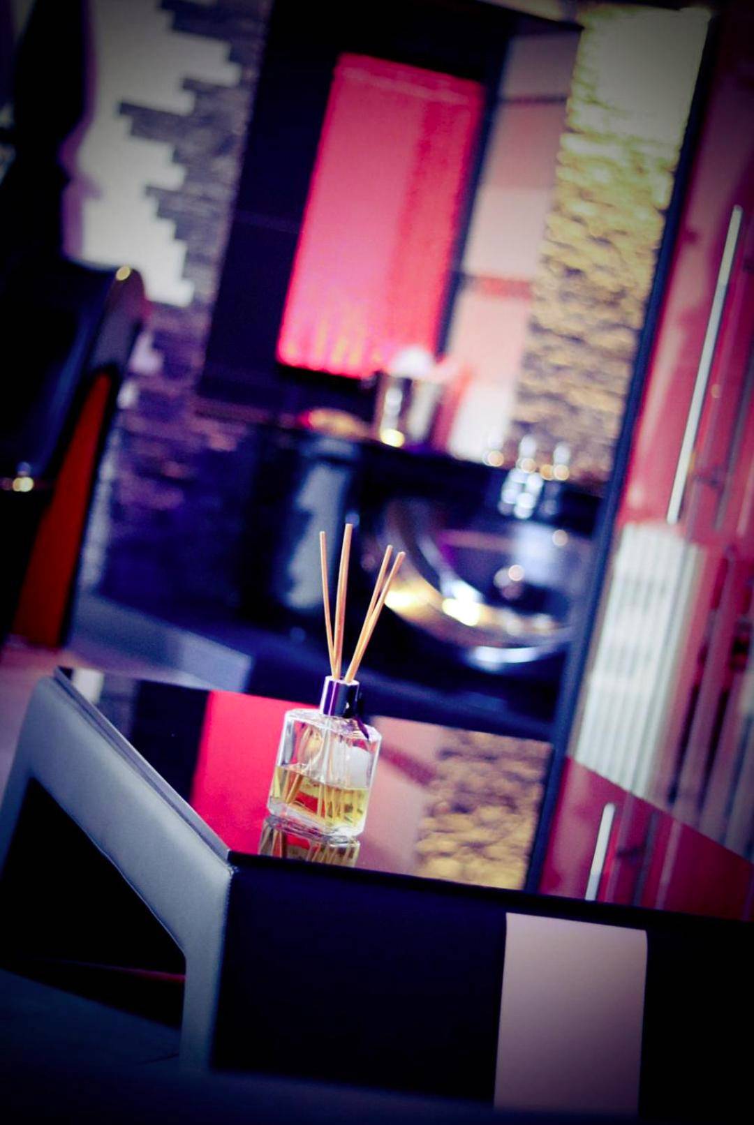Detail du logement - Loft 47 Spa