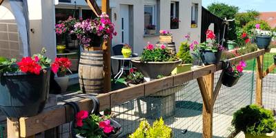 Terrasse fleurie avec barils en bois - Loft en Champagne