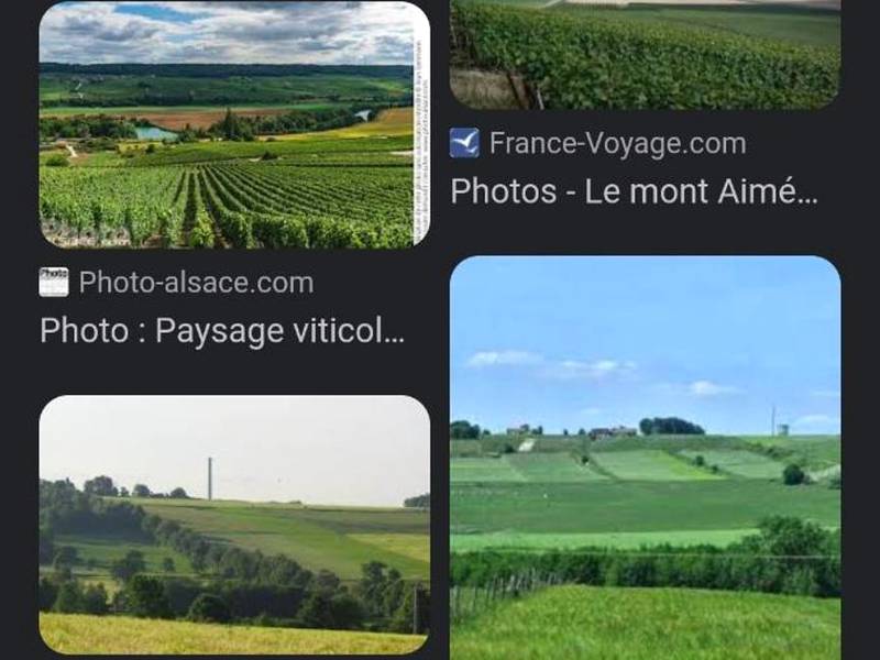 Photo du logement - Loft en Champagne