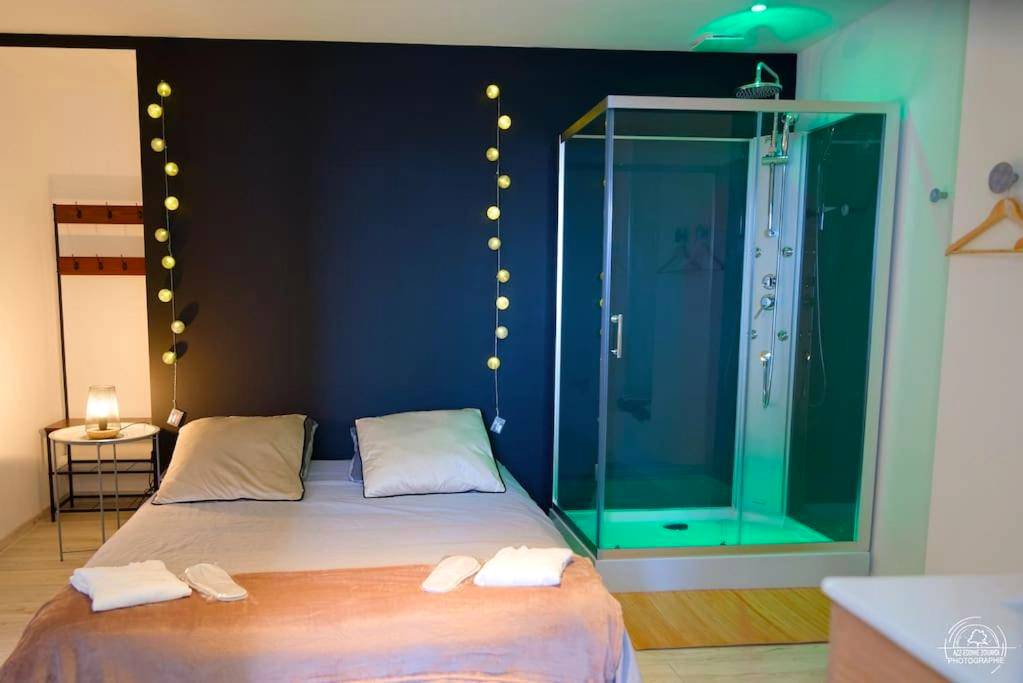 Photo du logement - Suite Le Loft & Garden et Spa BY NANCYINTIMELOUNGE